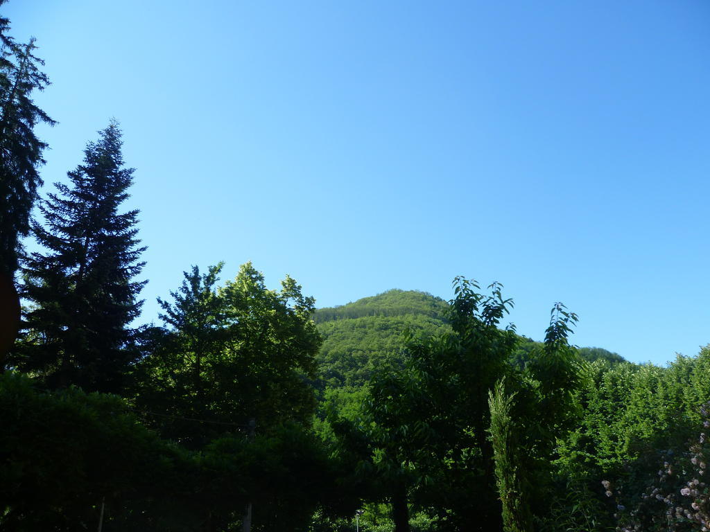 Villa Lucchesi Bagni di Lucca Exteriör bild